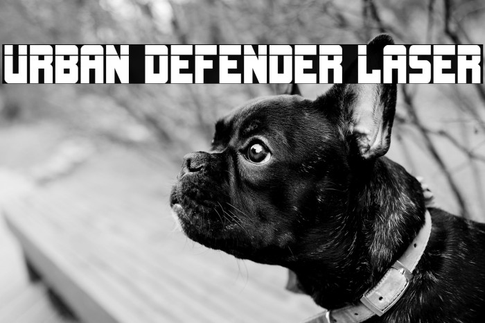 Urban Defender Laser Example 2