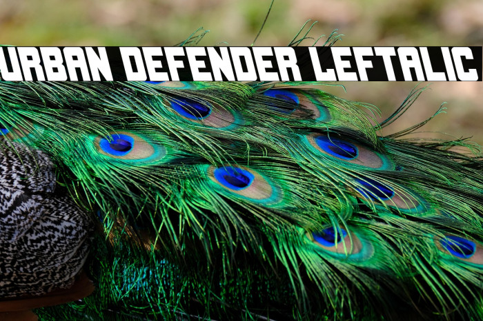 Urban Defender Leftalic Example 1