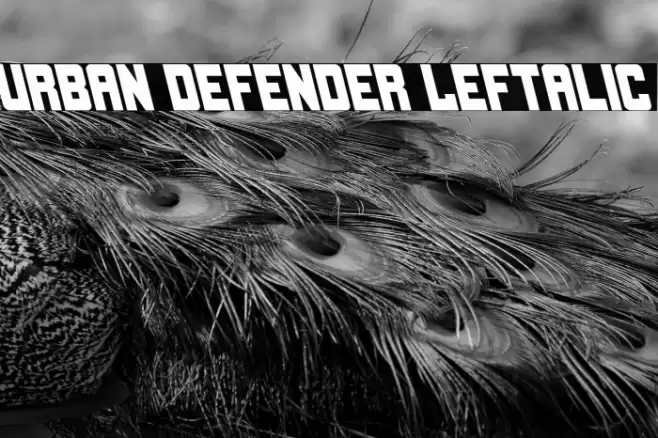 Urban Defender Leftalic Font examples