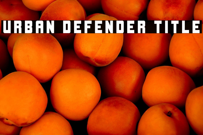 Urban Defender Title Example 2