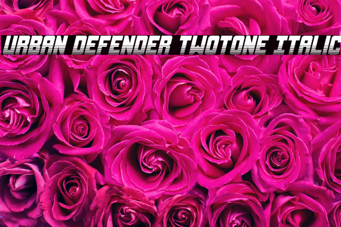 Urban Defender TwoTone Italic Example 1