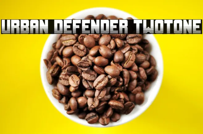 Urban Defender TwoTone Example 3