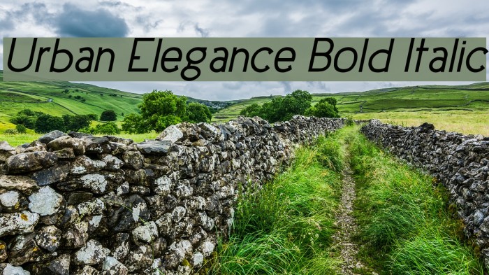 Urban Elegance Bold Italic Font examples