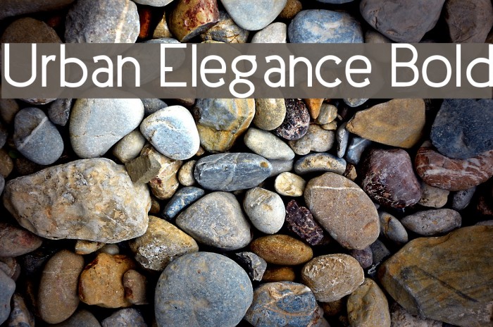 Urban Elegance Bold Font examples