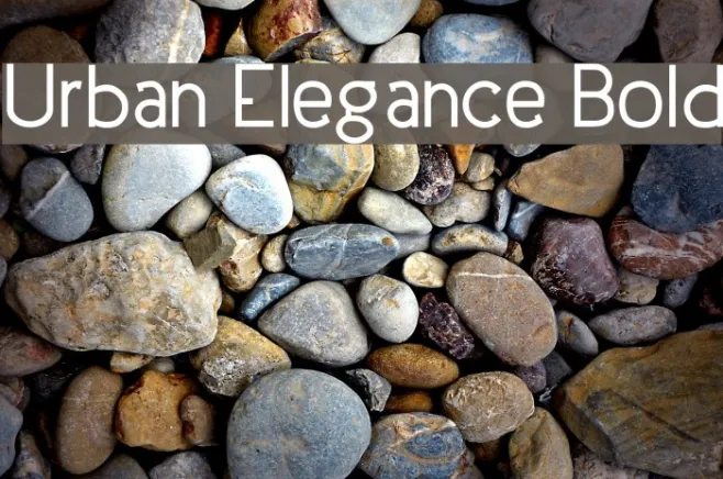 Urban Elegance Bold Example 1