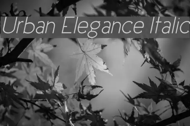 Urban Elegance Italic Font examples