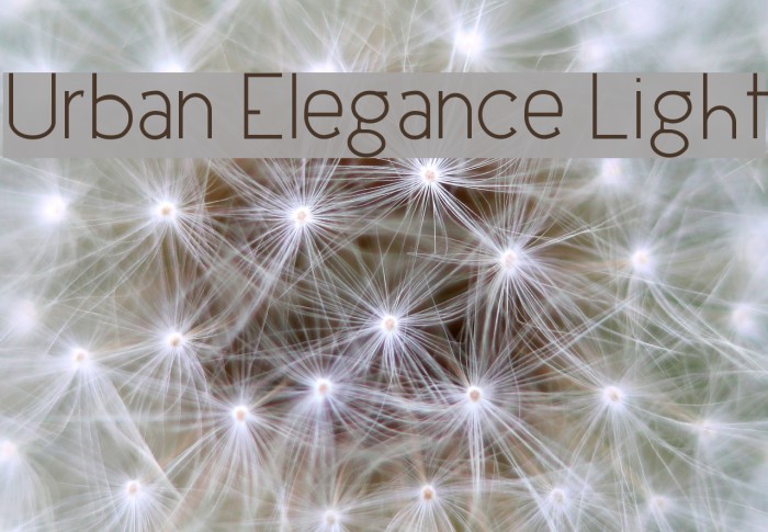 Urban Elegance Light Font examples