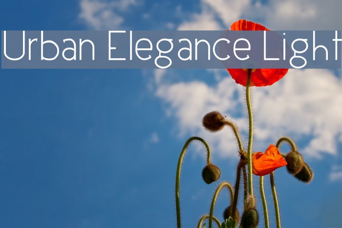 Urban Elegance Light Font examples