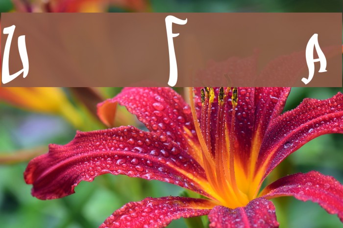 Urban Fresh Air Example 1