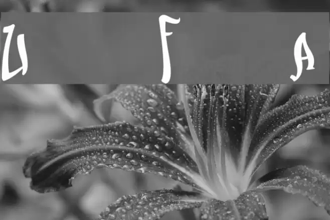 Urban Fresh Air Font examples