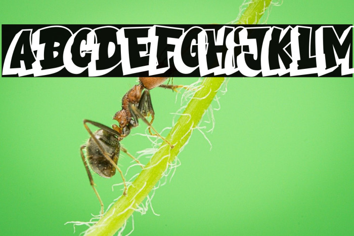 Urban Gear_Extrude Example 2