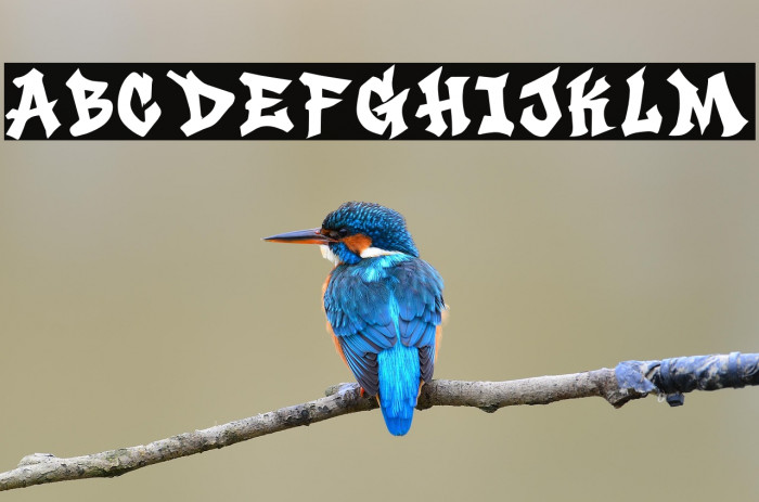 Urban Hustle PERSONAL USE ONLY! Example 1