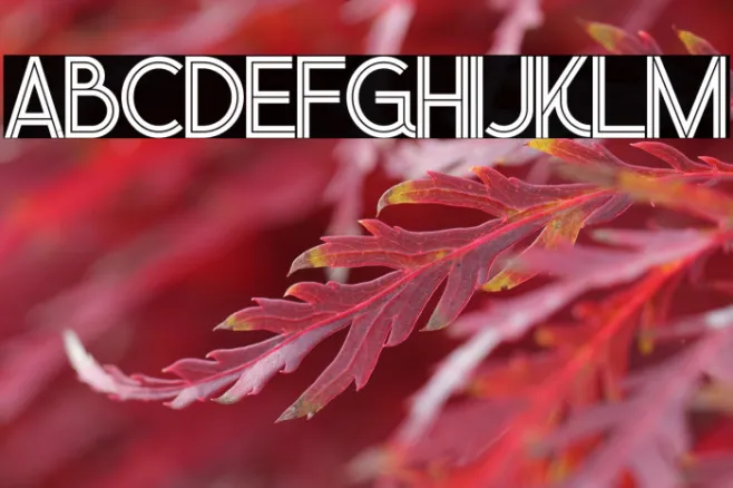 Urban Inline Example 3