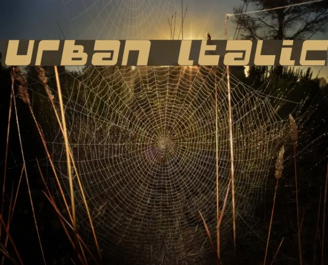 Urban Italic Example 1