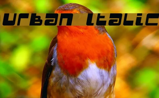 Urban Italic Example 2