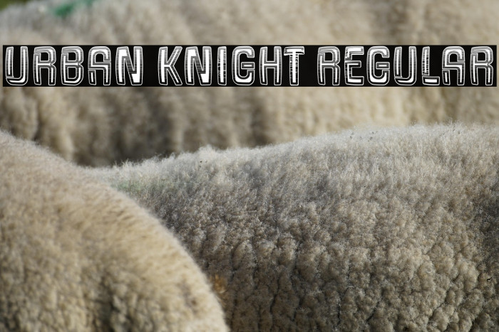 Urban Knight Regular Example 3