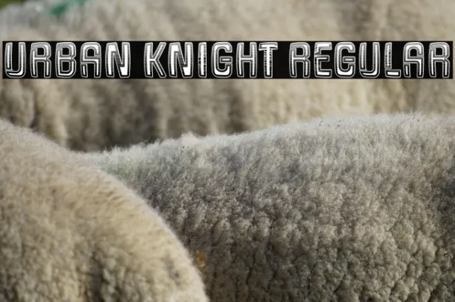 Urban Knight Regular Example 3