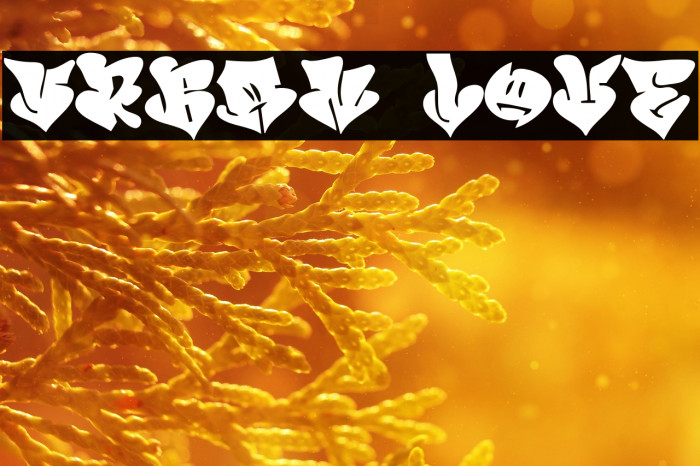 Urban Love Example 3