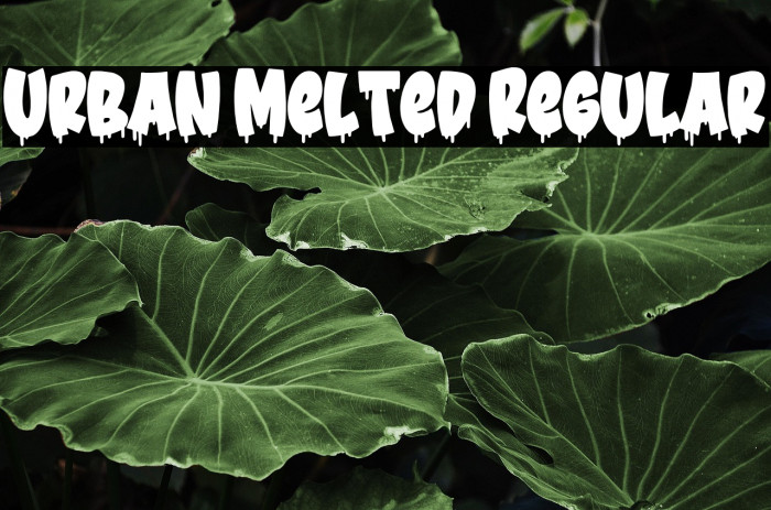 Urban Melted Regular Example 1