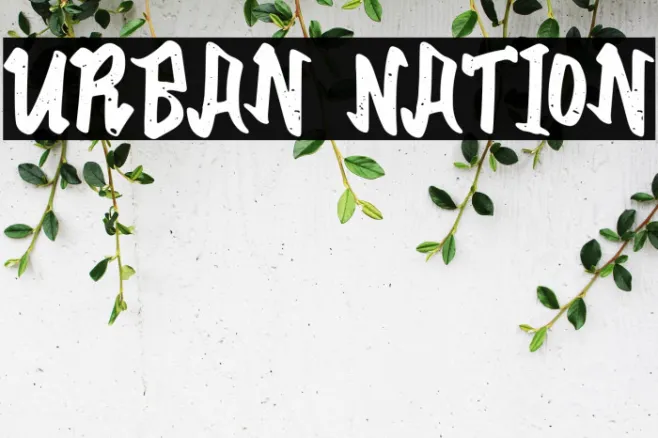 Urban Nation Example 2