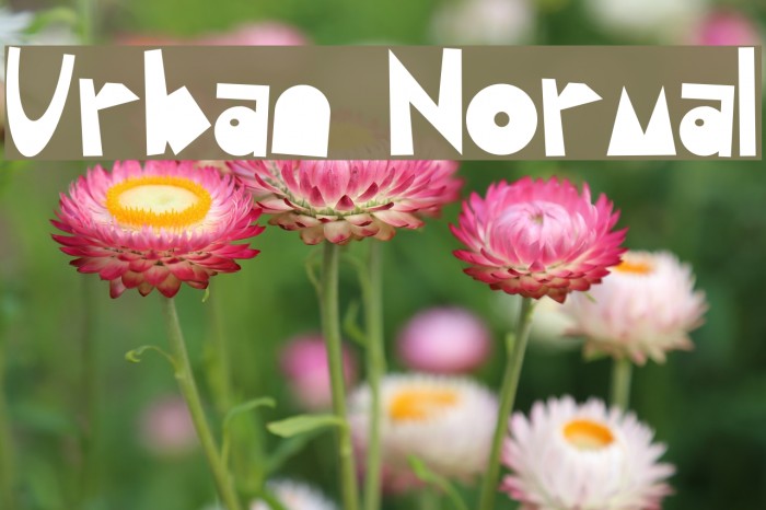 Urban Normal Font examples
