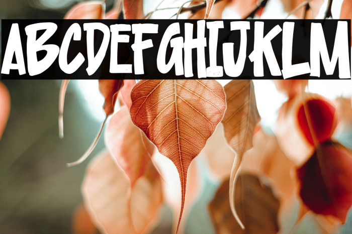 Urban Pollution Example 3