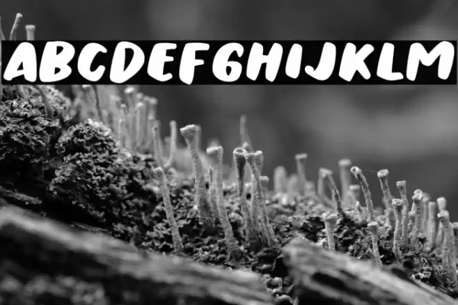 Urban Ranger Font examples