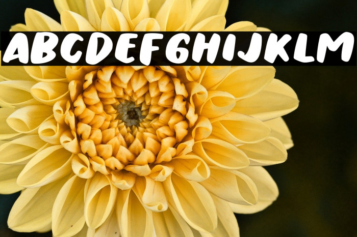 Urban Ranger Example 3