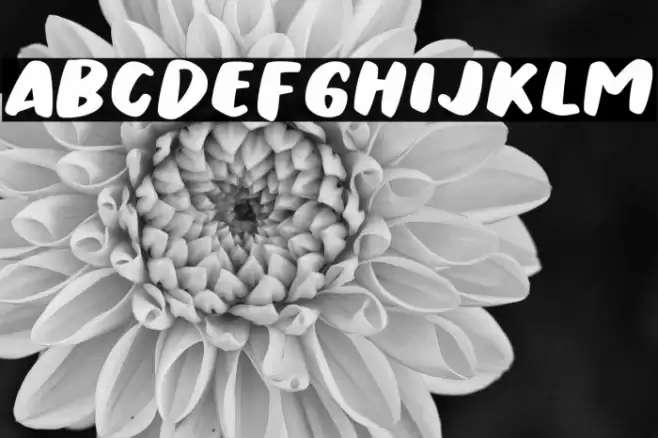 Urban Ranger Font examples