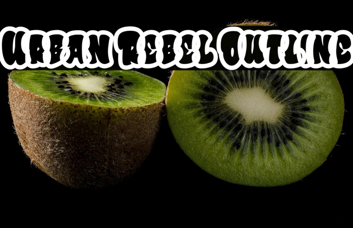Urban Rebel Outline Example 2
