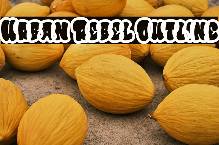 Urban Rebel Outline Example 3