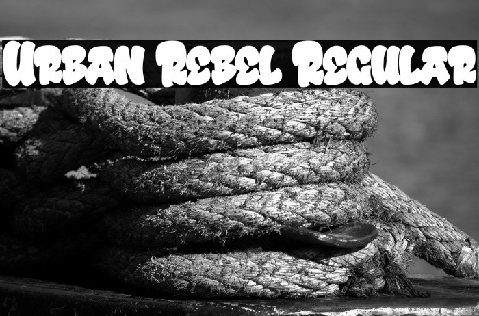 Urban Rebel Regular Example 3
