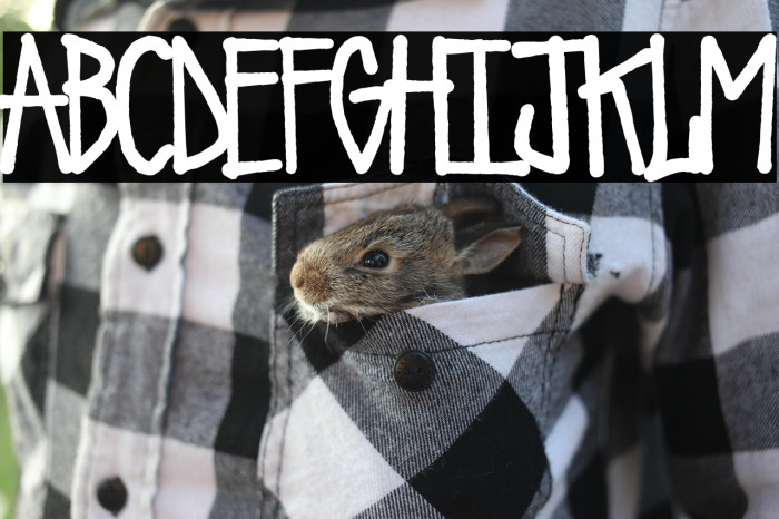 Urban Riot Example 1