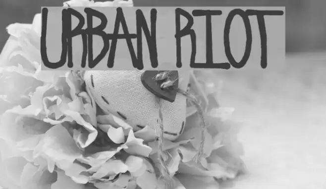 Urban Riot Font examples