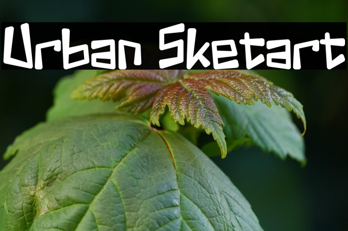 Urban Sketart Example 3