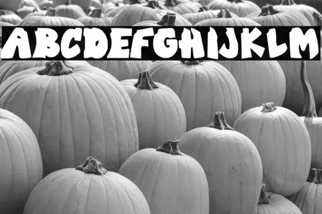 Urban Termu Font examples