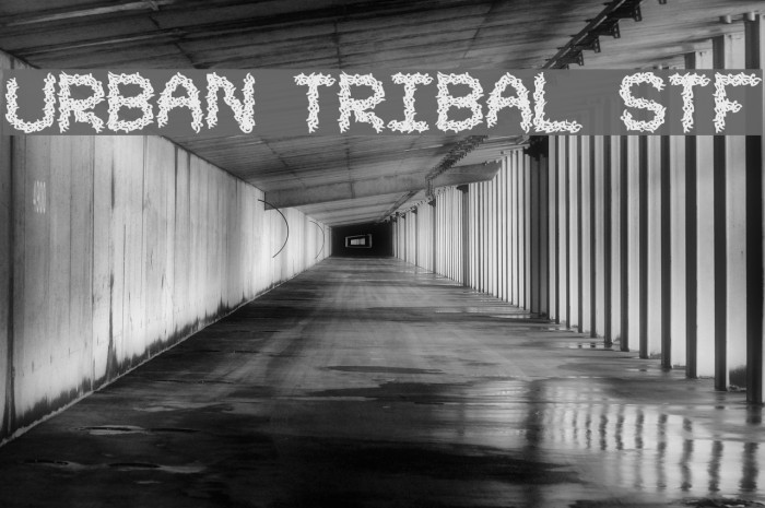 Urban Tribal STF Font examples