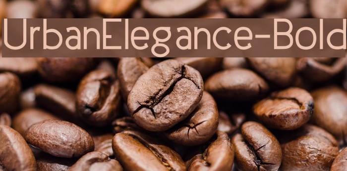 UrbanElegance-Bold Font examples