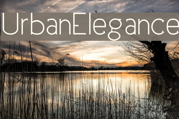 UrbanElegance Font examples