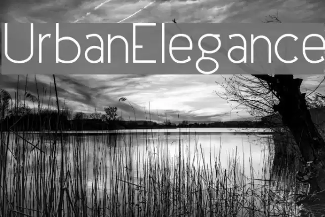 UrbanElegance Caratteri examples