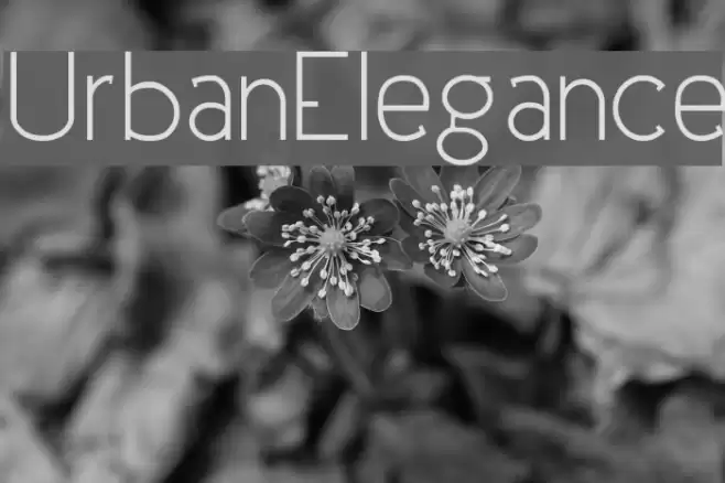 UrbanElegance Caratteri examples