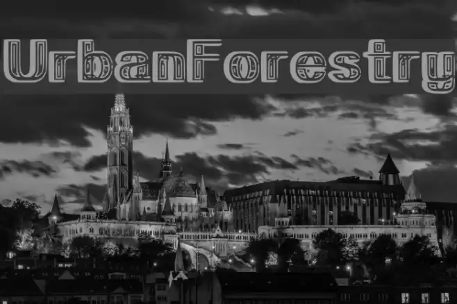 UrbanForestry Font examples