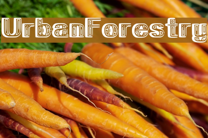 UrbanForestry Example 3