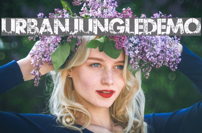 UrbanJungleDEMO Example 1