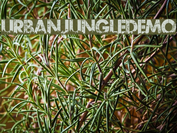 UrbanJungleDEMO Example 3