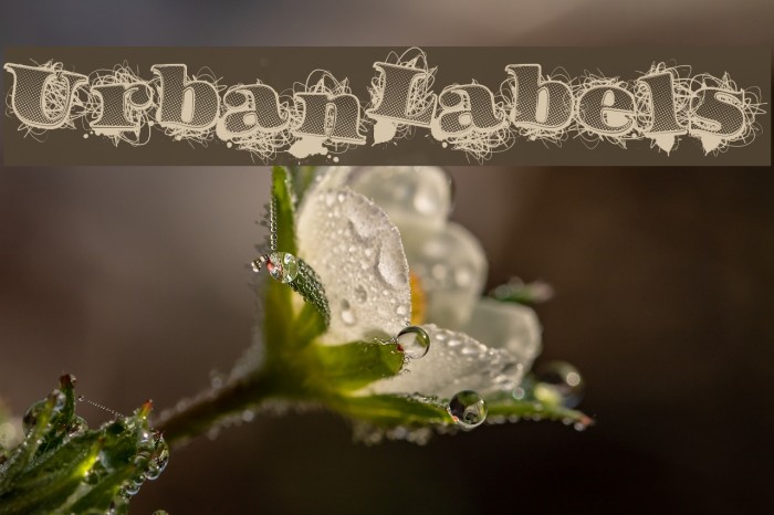 UrbanLabels Font examples