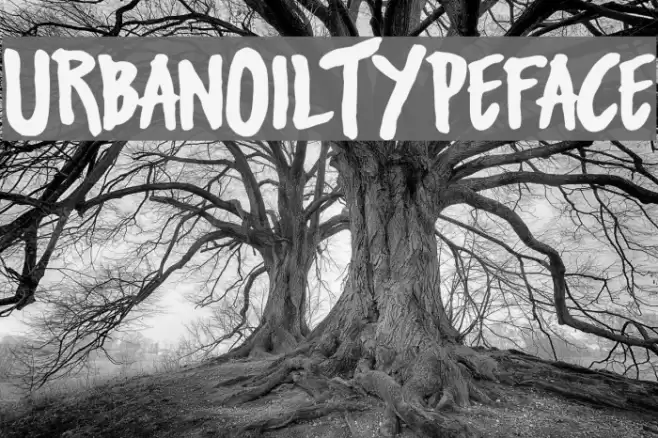 UrbanOilTypeface フォント examples
