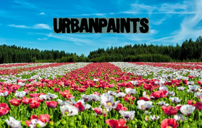 UrbanPaints Example 1