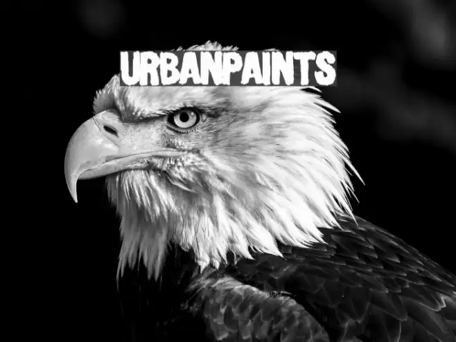 UrbanPaints Font examples