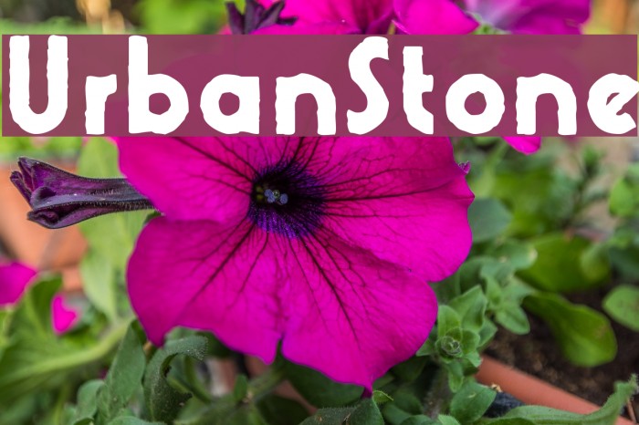 UrbanStone Font examples